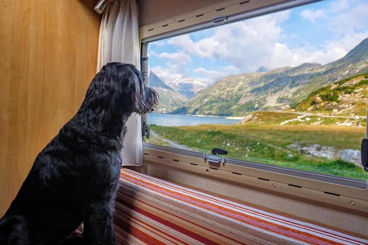Schwarzer Hund sitzt an einer gestreiften Sitzbank im Wohnmobil und schaut durchs Fenster auf einen Bergsee und Gipfel