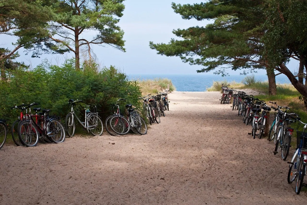 Abgestellte Fahrräder links und rechts eines sandigen Strandzugangs unter Kiefern, dahinter Dünengras und die blaue Ostsee